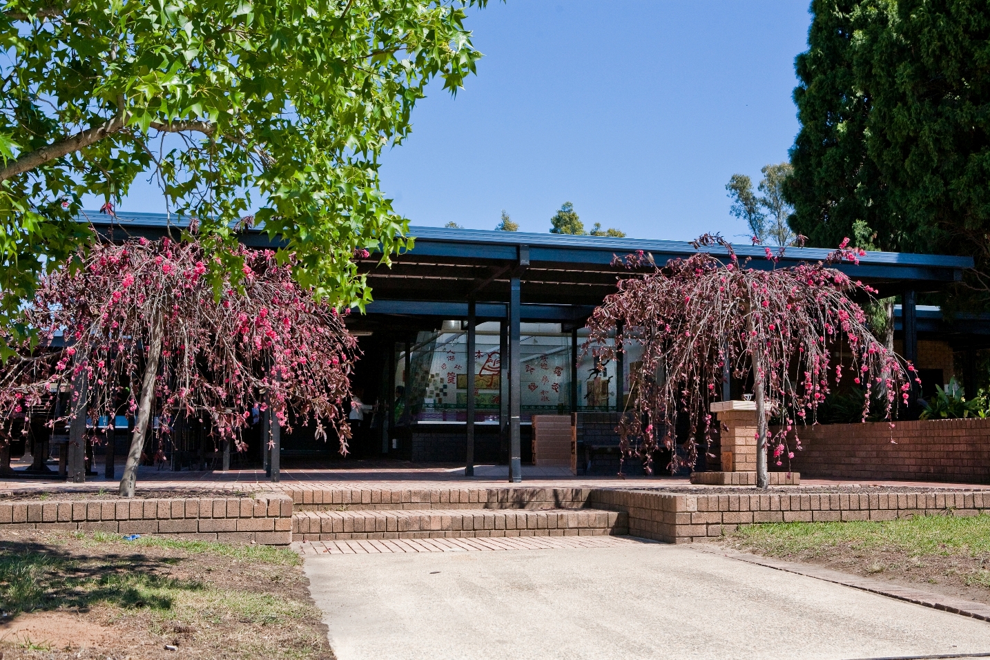 Peacock Gallery and Auburn Arts Studio MGNSW