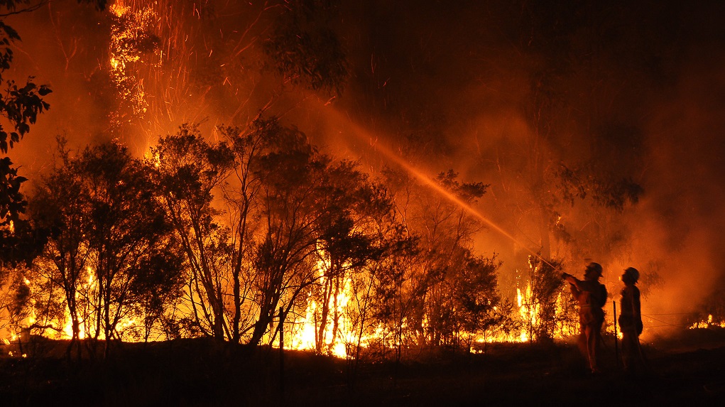 Cessnock Bush Fire 18-01-2013, photo: Quarrie Photography