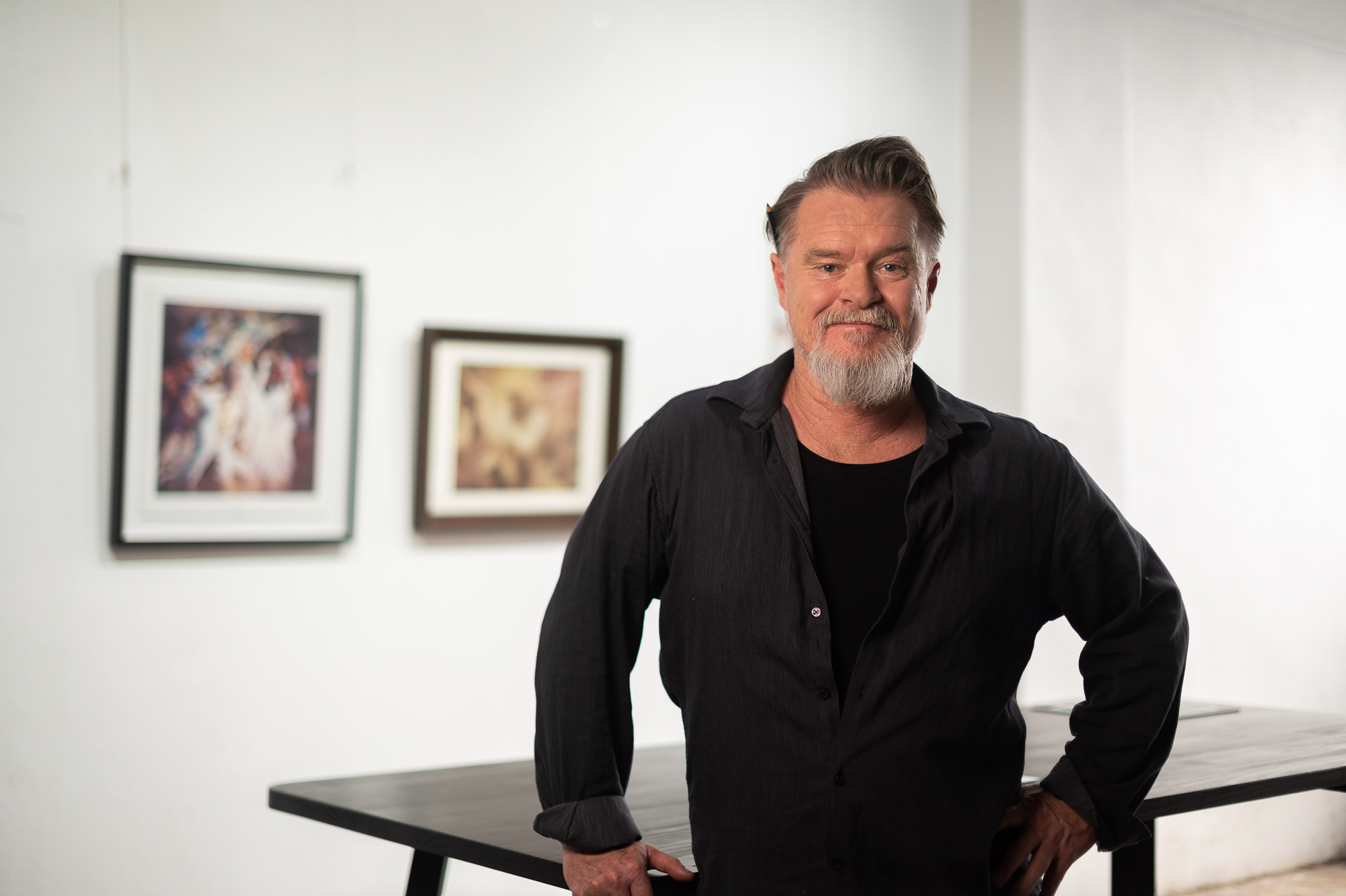 Art Hanging Systems MGNSW