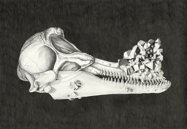 Erin Coates, Heavy Metal Skull (lateral view), 2020, graphite on paper, 59 x 76 cm. Instagram post for 52 ARTISTS, 18 August 2020. Courtesy the artist and Artspace, Sydney