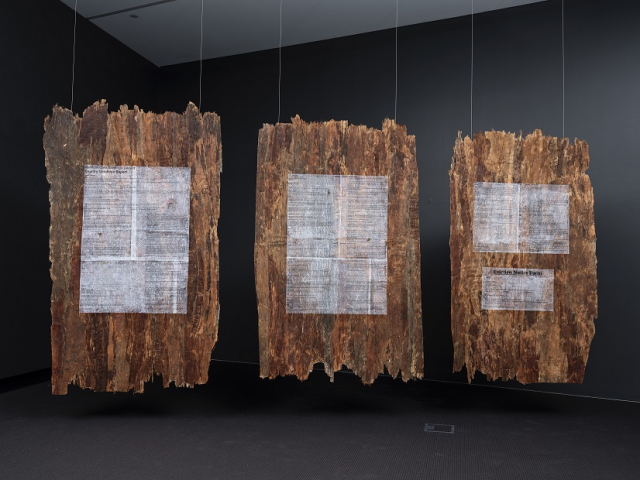 Megan Cope, Dead wood, 2021, paperbark, rice paper, bees wax, ink. Installation view, OCCURRENT AFFAIR, UQ Art Museum, 2021. Reproduced courtesy of the artist and Milani Gallery, Brisbane. Photo: Carl Warner.