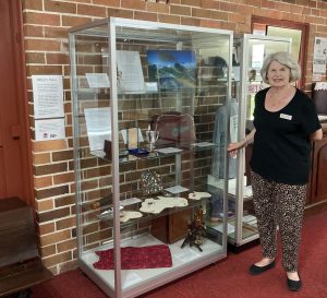 Carolyn Bittar with a new display case at Port Macquarie Museum purchased through 2021 Small Grant. Courtesy of Port Macquarie Museum. 