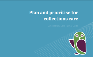 Plan and Prioritise for Collection Care - cover