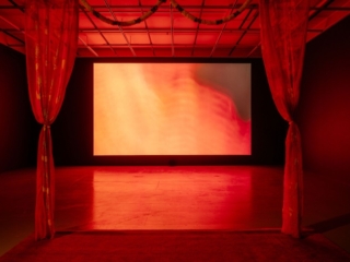 Zanny Begg | These Stories Will be Different, installation view at Plimsoll Gallery, University of Tasmania, 2022. Photo by Collings Creative.