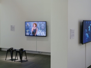 Zanny Begg | These Stories Will be Different, installation view at Glasshouse Regional Gallery, 2024. Photo: Jeremy Rogers