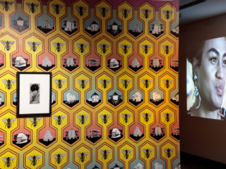 Zanny Begg | These Stories Will be Different, installation view at Devonport Regional Gallery, 2022. Photo: Kelly Slater