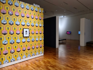 Zanny Begg | These Stories Will be Different, installation view at Tamworth Regional Gallery, 2023. Photo courtesy of Tamworth Regional Gallery,