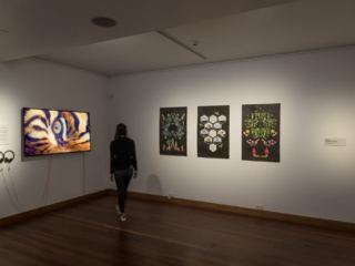 Zanny Begg | These Stories Will be Different, installation view at Shoalhaven Regional Gallery, 2022. Photo: Document Photography