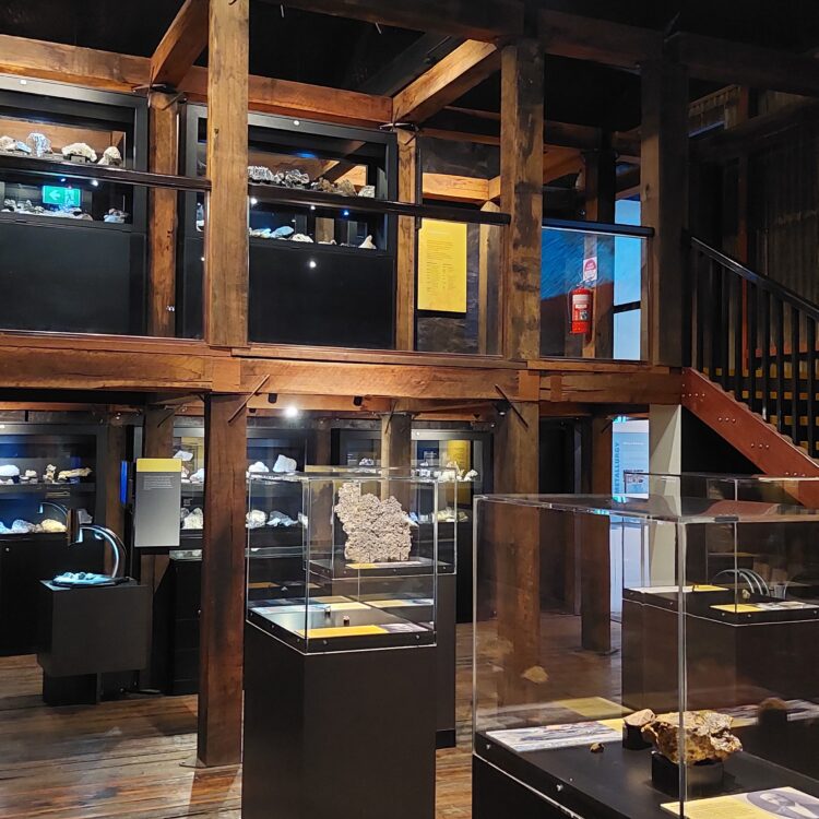 Museum Collections Officer