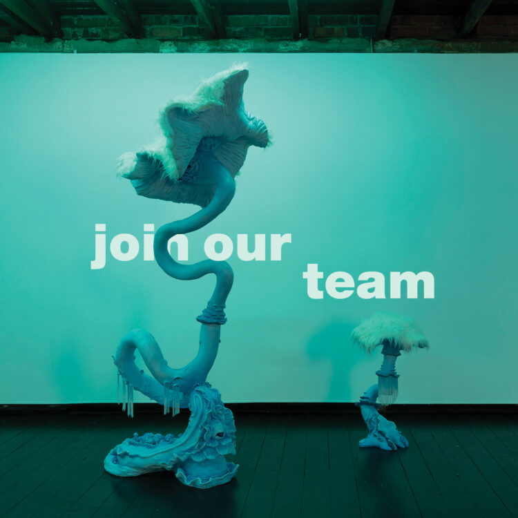 Assistant Director (Operations and Programs)