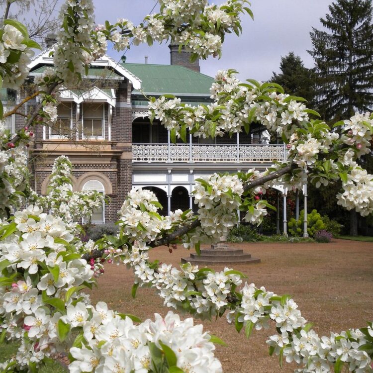 Visitor Experience and Operations Manager National Trust of Australia (NSW)