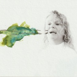 multi-loop HD video installation. Image courtesy the artist.