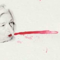 multi-loop HD video installation. Image courtesy the artist.