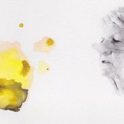 multi-loop HD video installation. Image courtesy the artist.