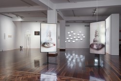 Sally Rees, Gateway for the Witness, 2020. Installation view of Suspended Moment at Wollongong Art Gallery, 2022. Curated By Daniel Mudie Cunningham. Photo: Zan Wimberley